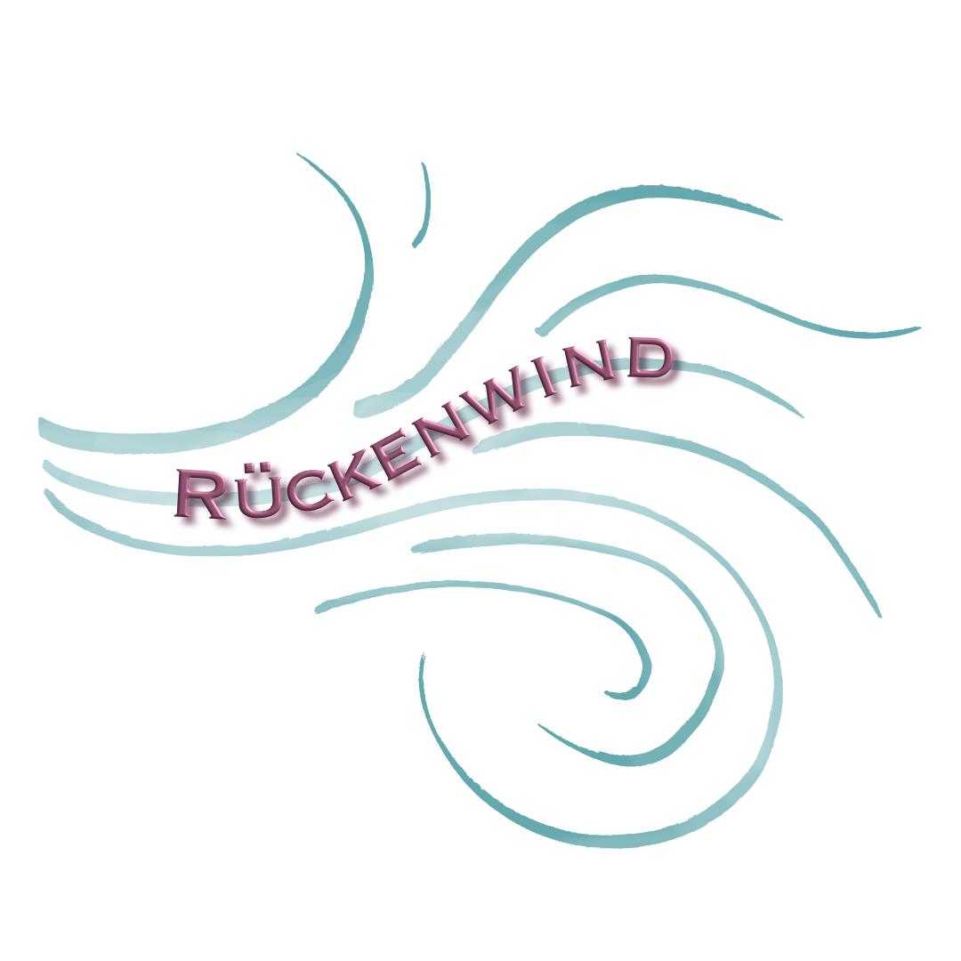 Produktbild: die 1:1 Begleitung durch einen professionellen Coach als optionale Ergänzung zum Online Programm (online oder vor Ort in Bern)